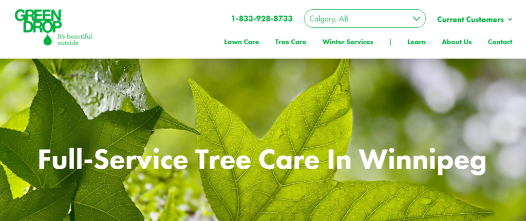 Winnipeg Arborists